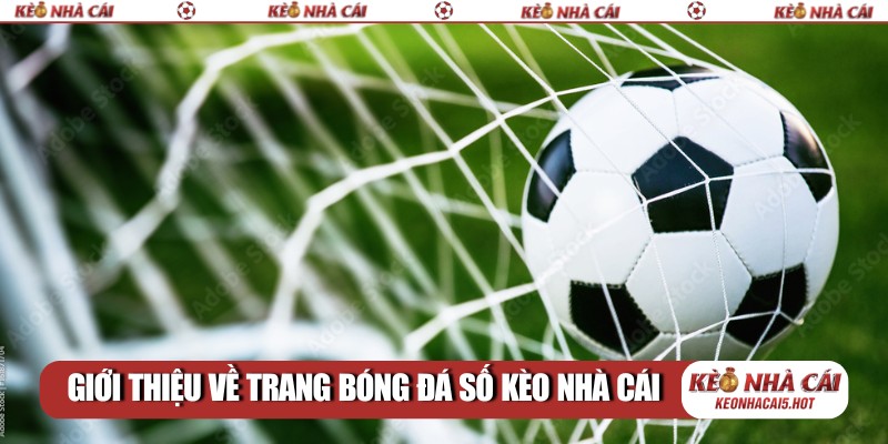 Giới thiệu về trang bóng đá số kèo nhà cái